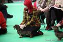 Crufts2011_2 910